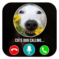 Dog fake video call prank