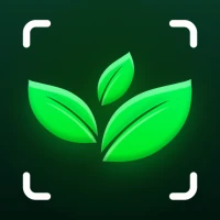 Plant Identifier: Picture Care