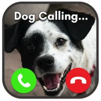 Fake Call Prank- Animals